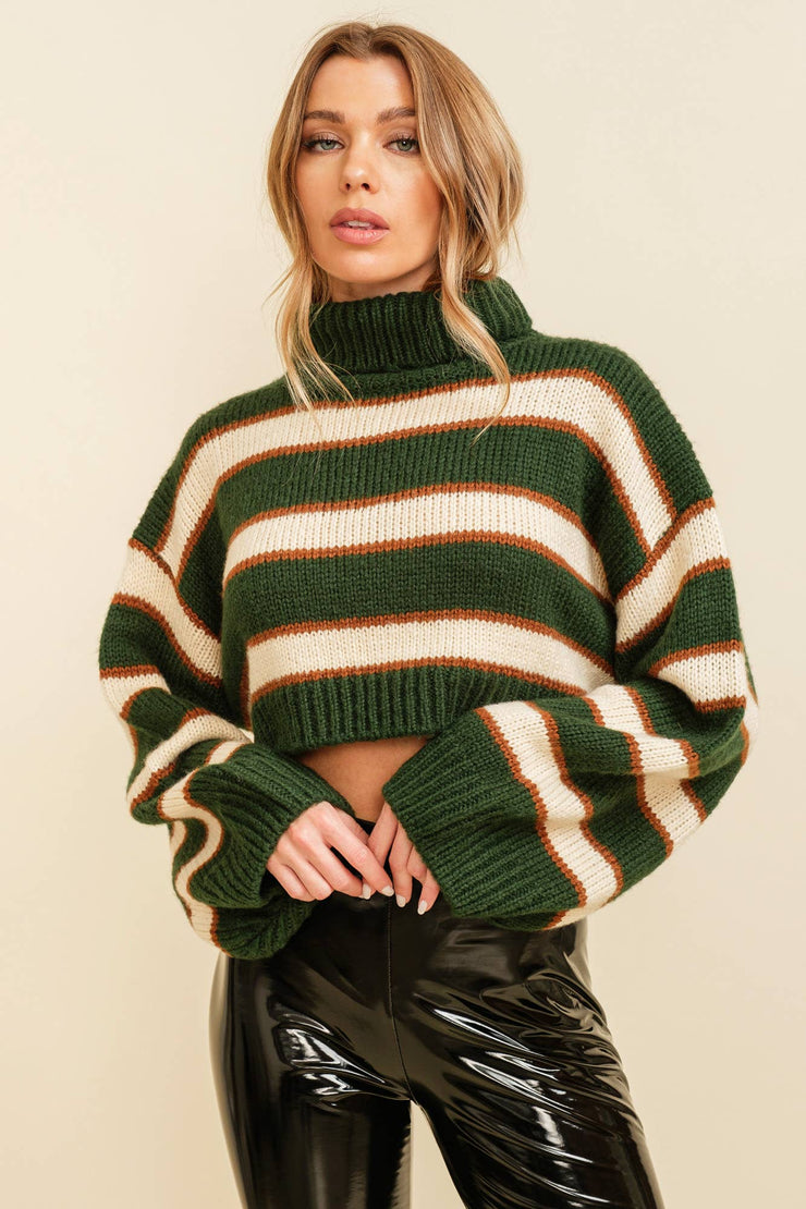 Kaitlin Turtleneck Stripe Sweater