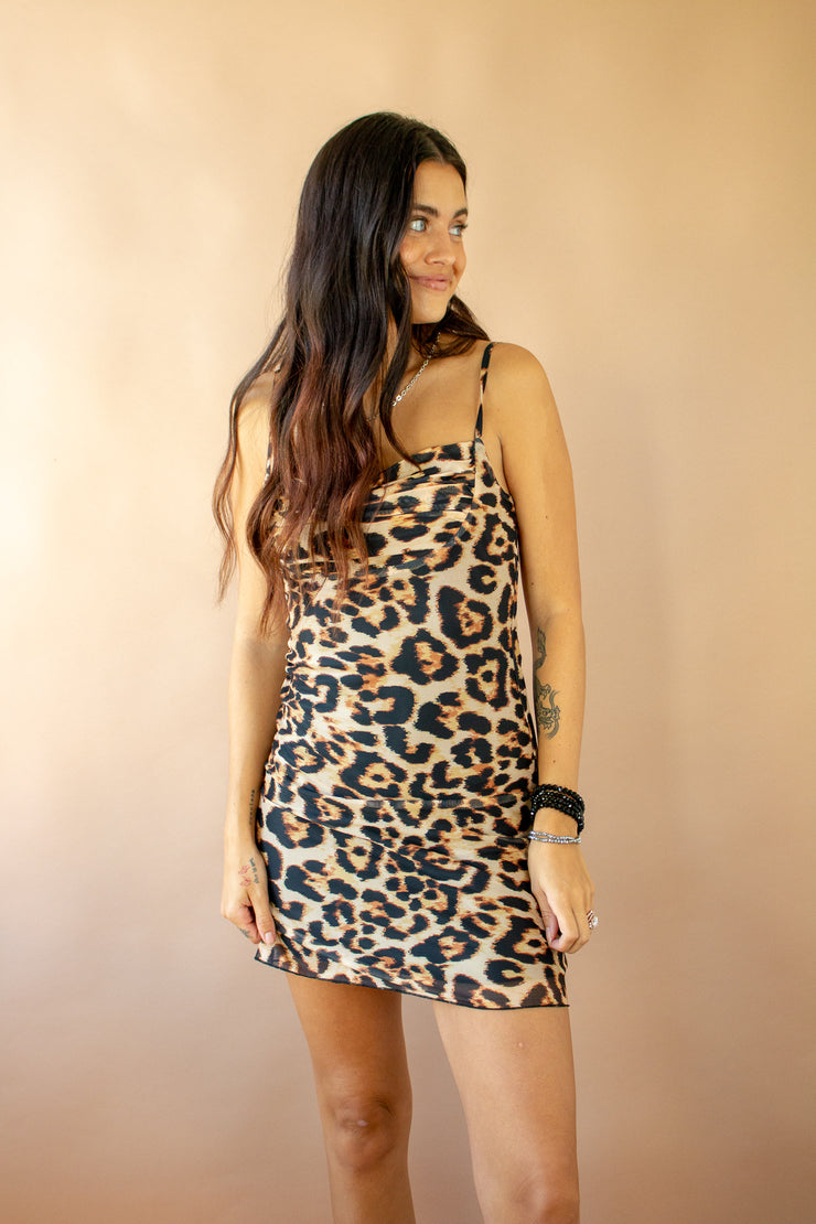 Ciara Leopard Draped Mesh Dress