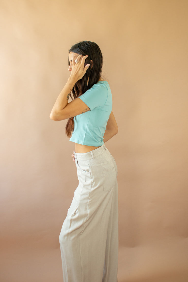 Breckan Wide Leg Pants Beige