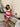 Millie Stripe Knit Shorts