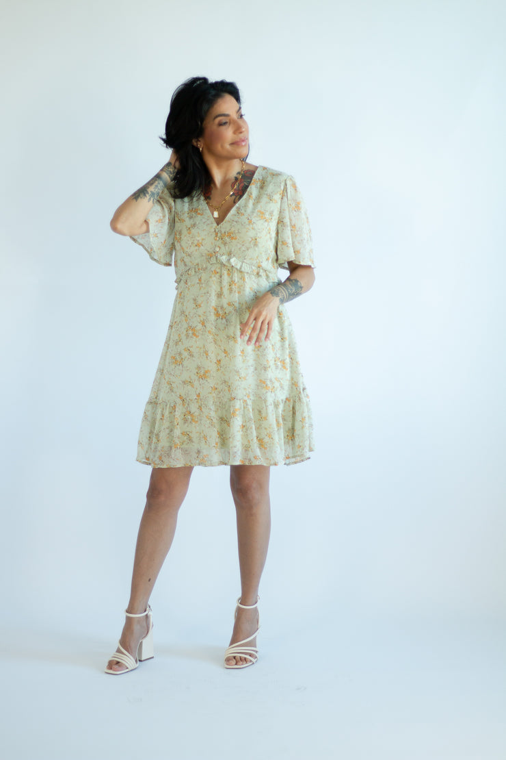 Darling Daisy Dress