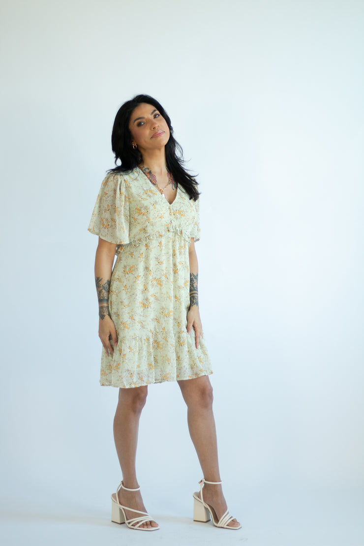 Darling Daisy Dress