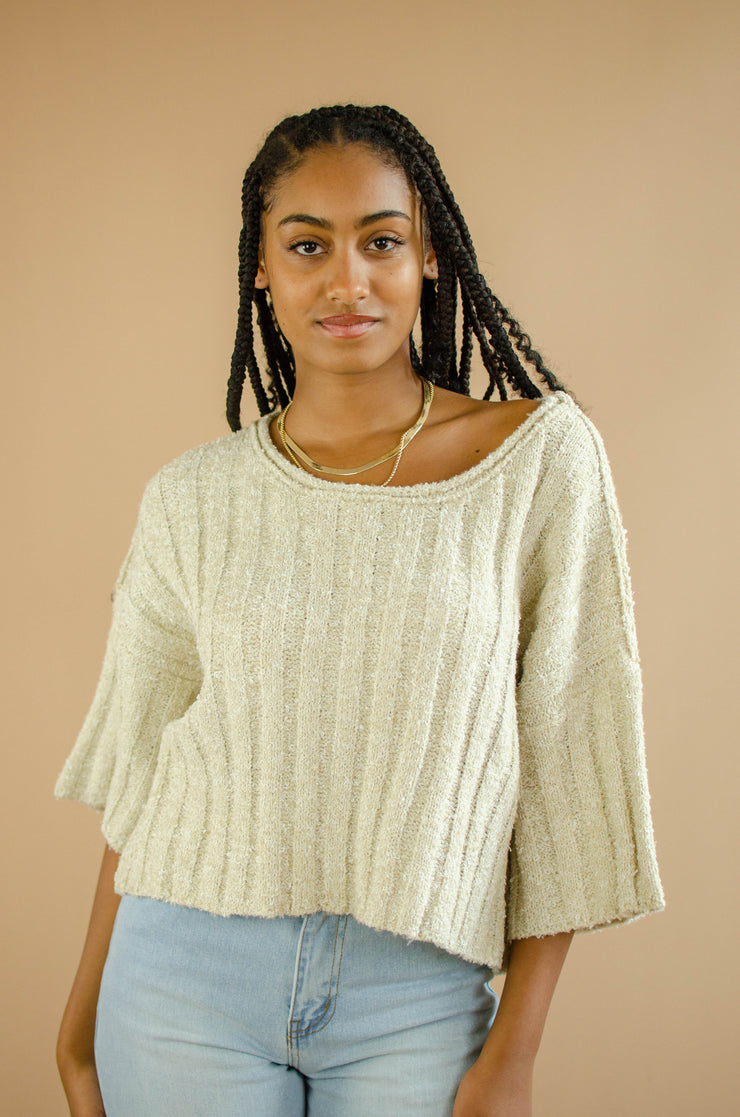 Wendy Crop Sweater Top Oatmeal